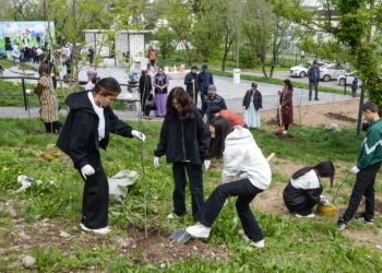 Как молодежь и ветераны возрождают яблоневые сады в Алматы