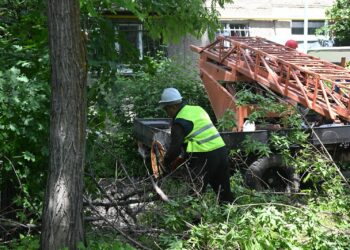 Алматыда «Таза Қазақстан» аясында алғашқы креативті эко-хаб ашылды