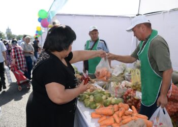 В Алматы стабилизируют цены на картофель, морковь, лук и капусту