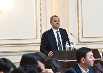 Бюджет Алматы за 2024 год дала Ревизионная комиссия: рост доходов, социальная направленность и системные вызовы